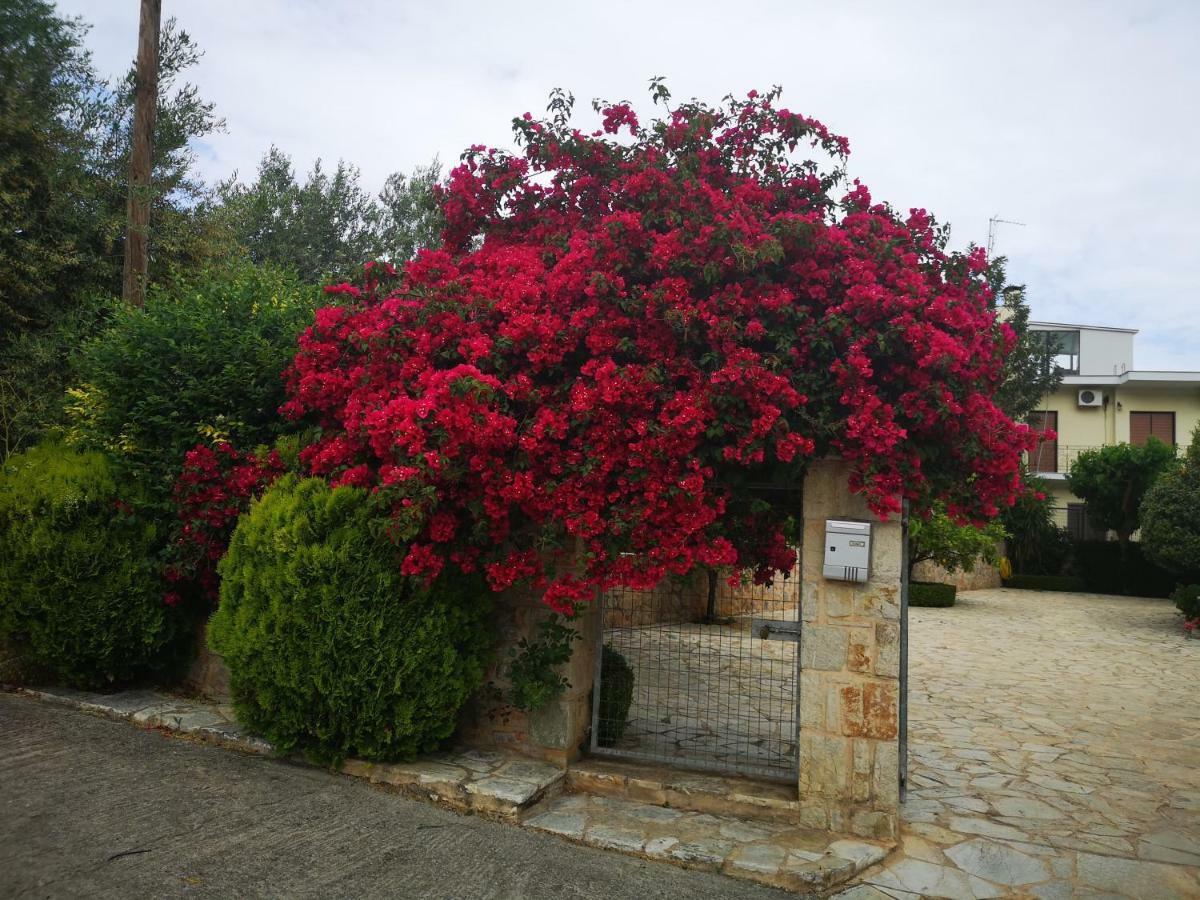 Hotel Patelis Poulithra Luaran gambar