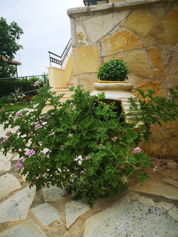 Hotel Patelis Poulithra Luaran gambar